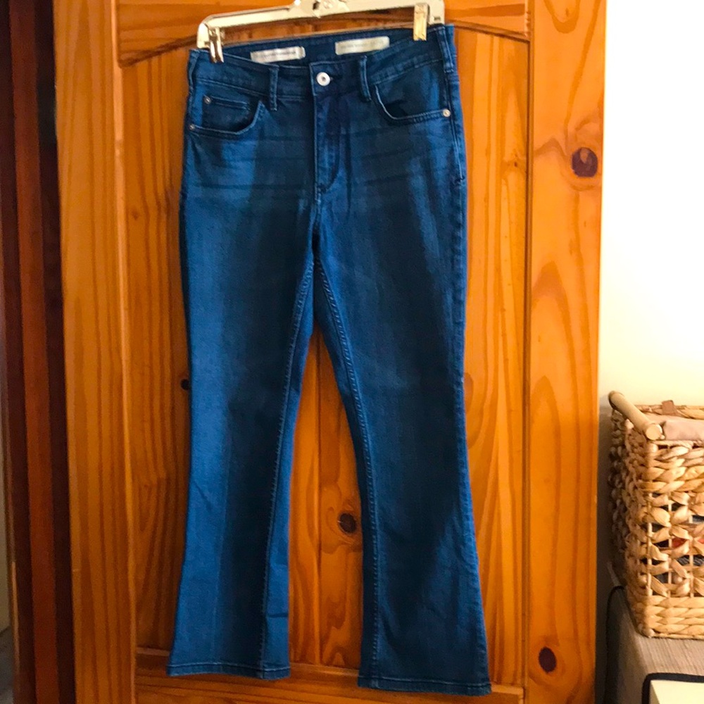 Pilcro and the Letterpress cropped jeans